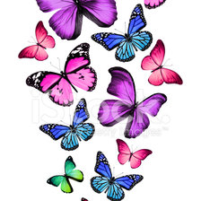 Оригинал схемы вышивки «бабочки» (№2332345)