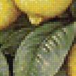 Предпросмотр схемы вышивки «Дерево лимон» (№2332568)