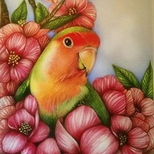 Схема вышивки «Попугай»