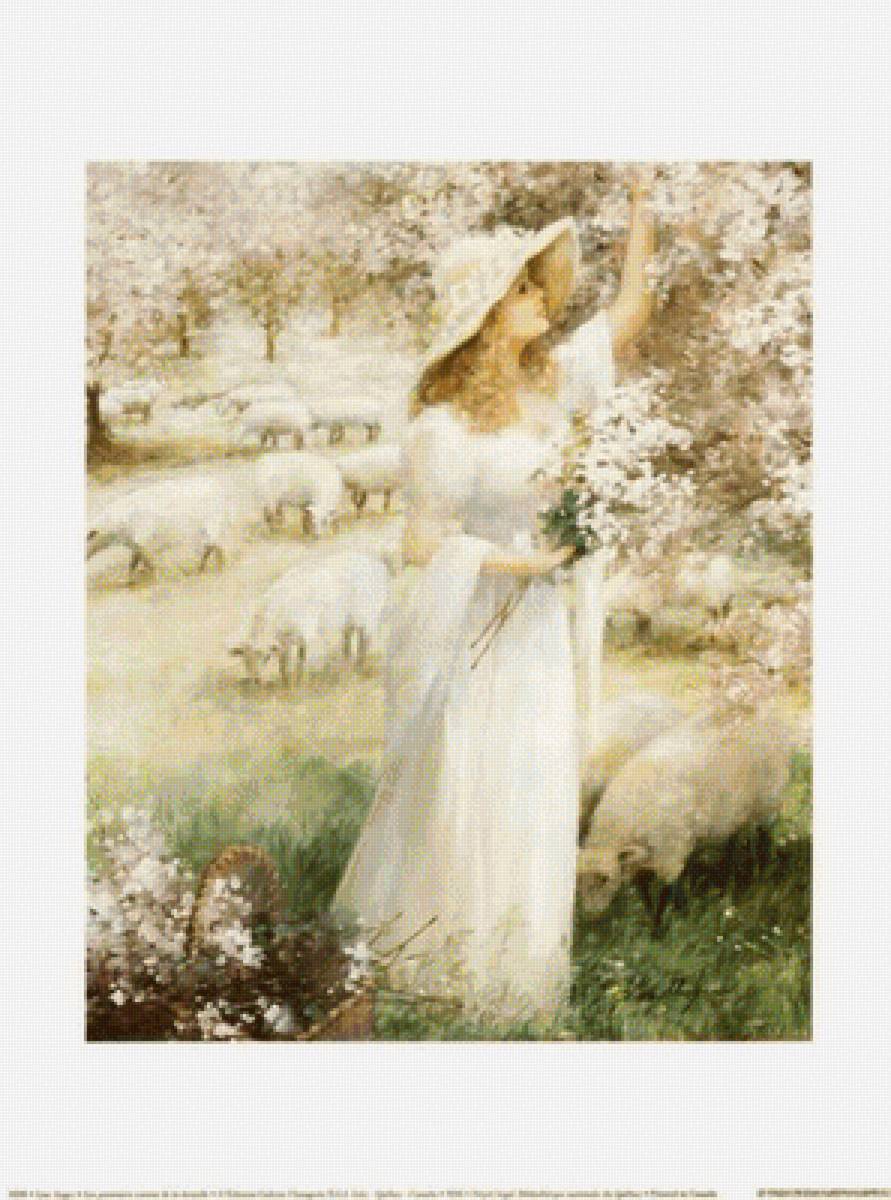 apple tree with lace - предпросмотр