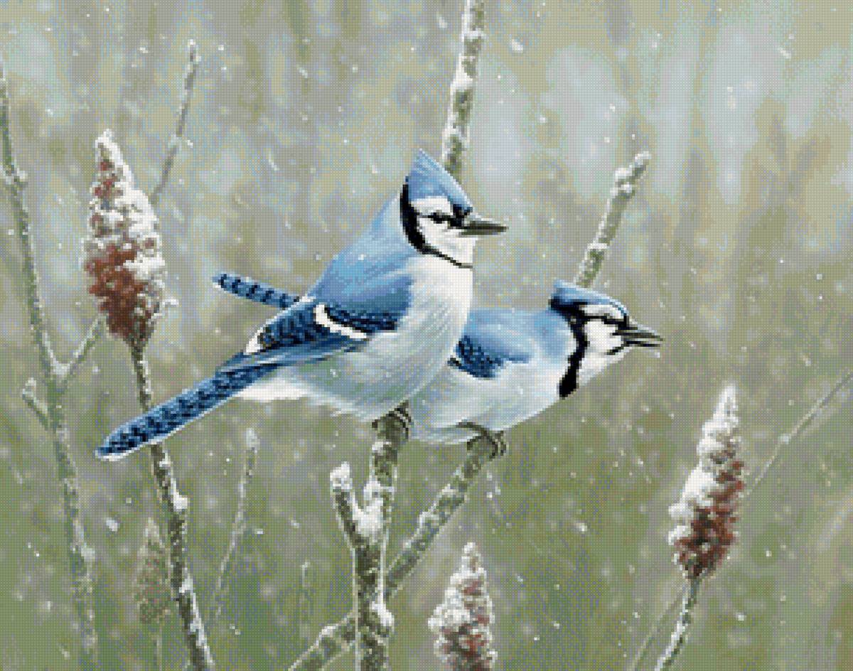 №2332997 - предпросмотр