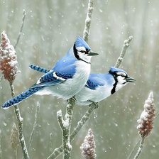 Схема вышивки «№2332997»