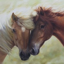 Схема вышивки «Cavalos.»