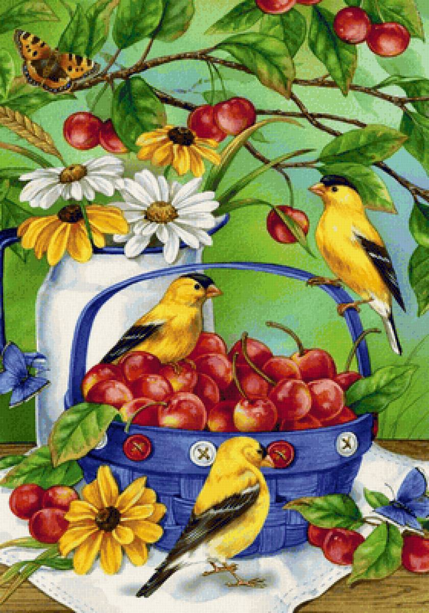 Pássaros.e Frutas. - pássaro, frutas. - предпросмотр