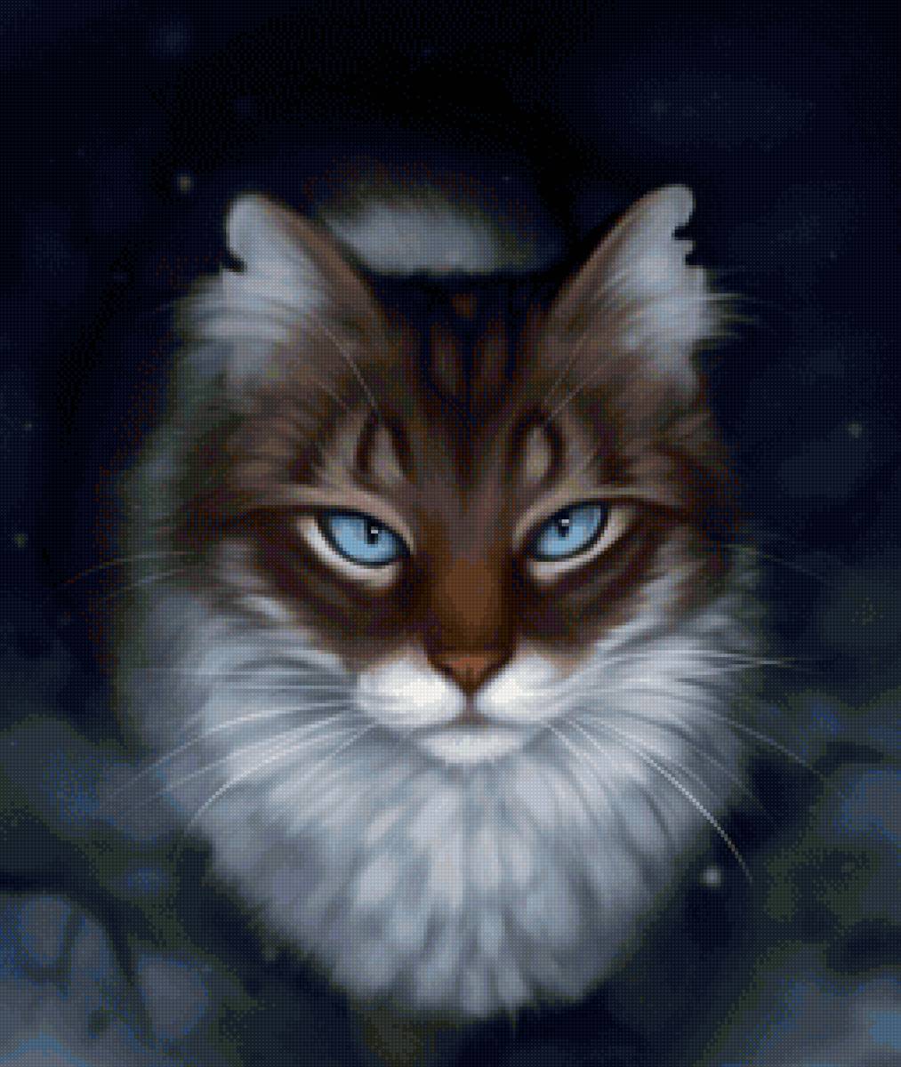 кошки - кошки - предпросмотр