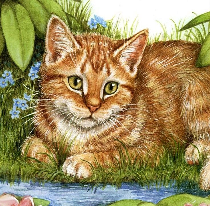 Gato. - animais. - оригинал