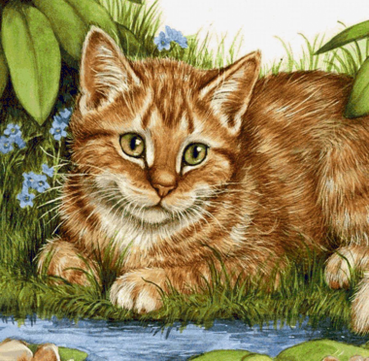 Gato. - animais. - предпросмотр