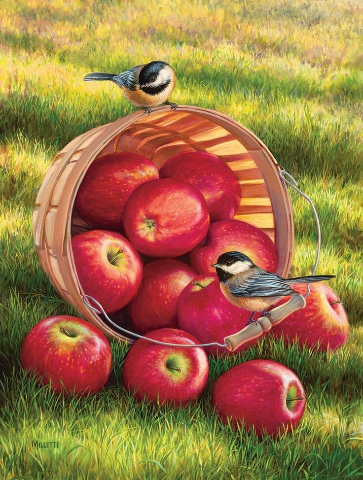 Яблоки - оригинал