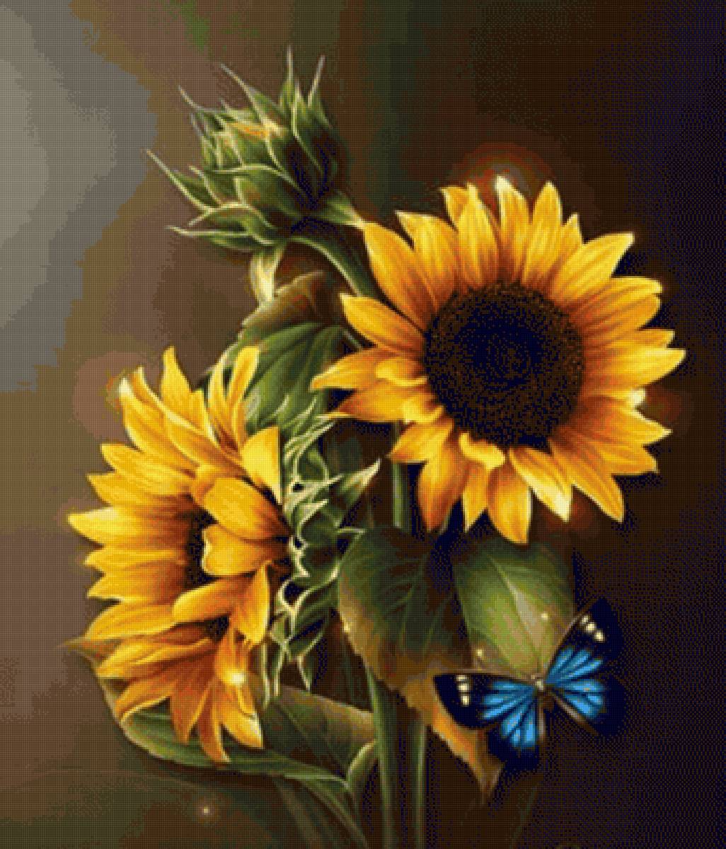 Girazol2 - naturaleza - предпросмотр