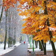 Схема вышивки «Осень-зима»