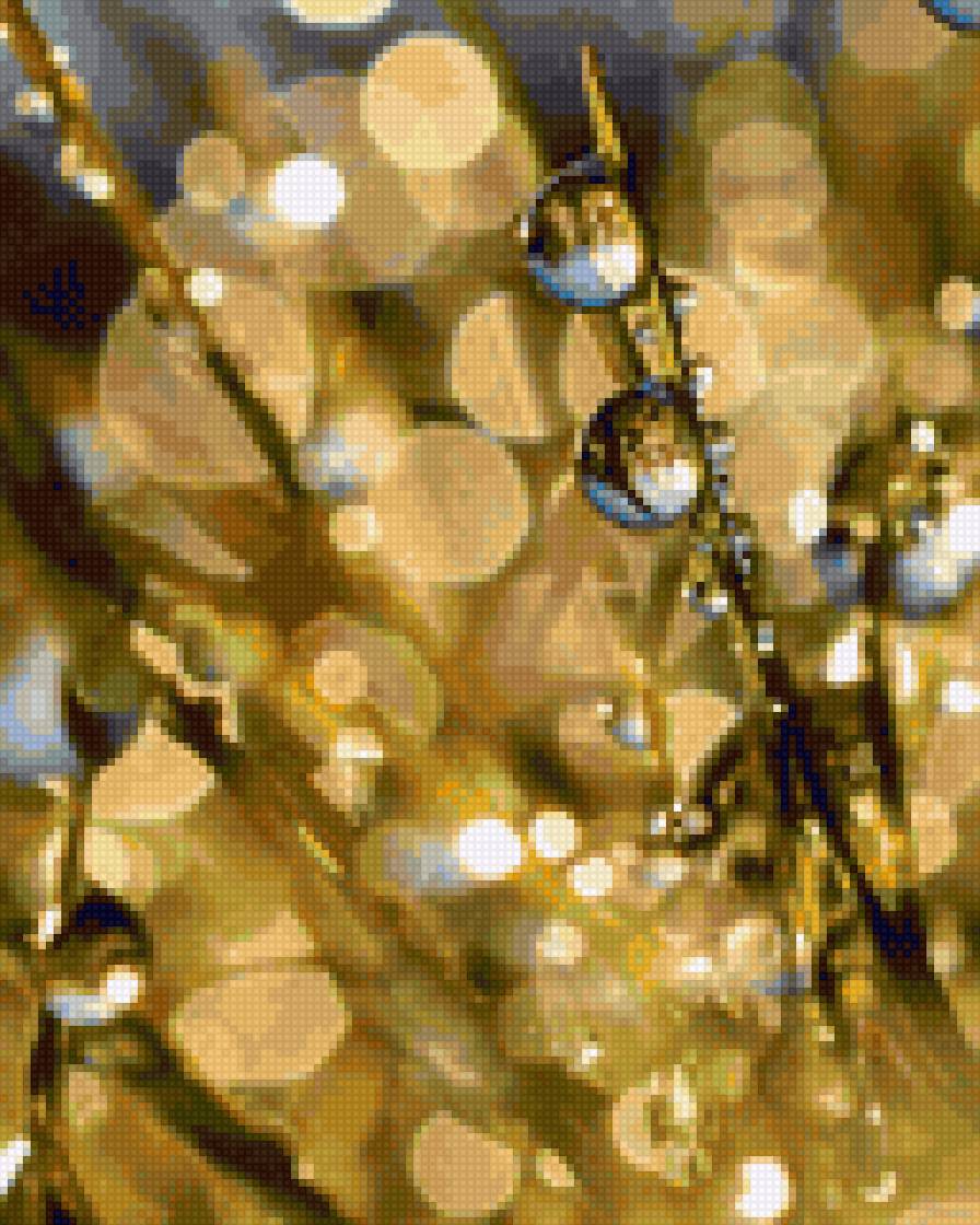 роса - роса - предпросмотр