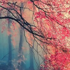 Схема вышивки «2»