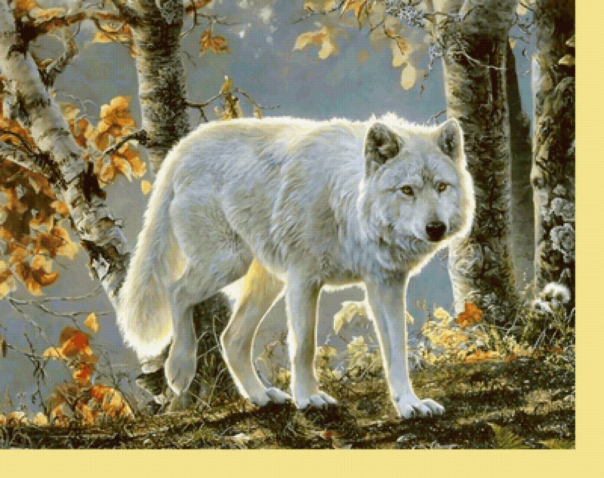 Серия "Хищники". Волк - хищники, животные, волк - предпросмотр