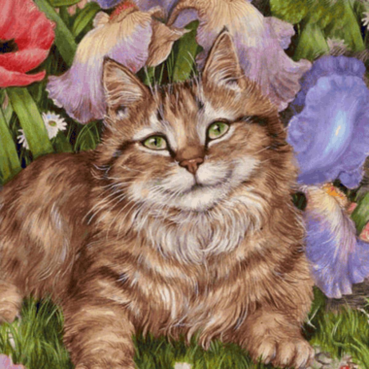 Gato. - animais.flores. - предпросмотр