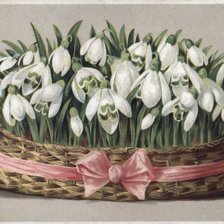 Схема вышивки «Подснежники»