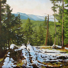 Схема вышивки «Лес»