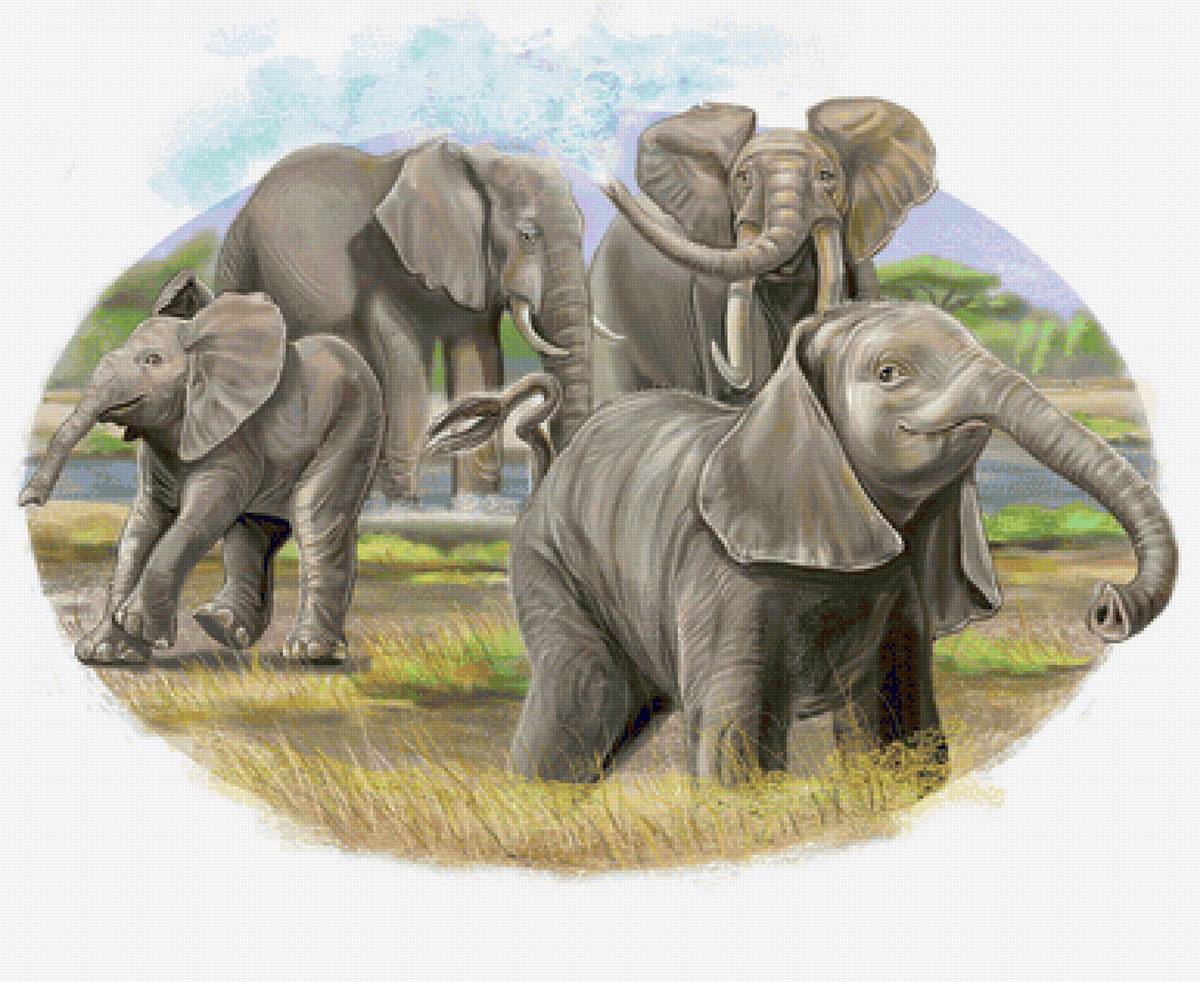 №2334528 - слоны - предпросмотр