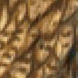 Предпросмотр схемы вышивки «мудрая сова» (№2334901)