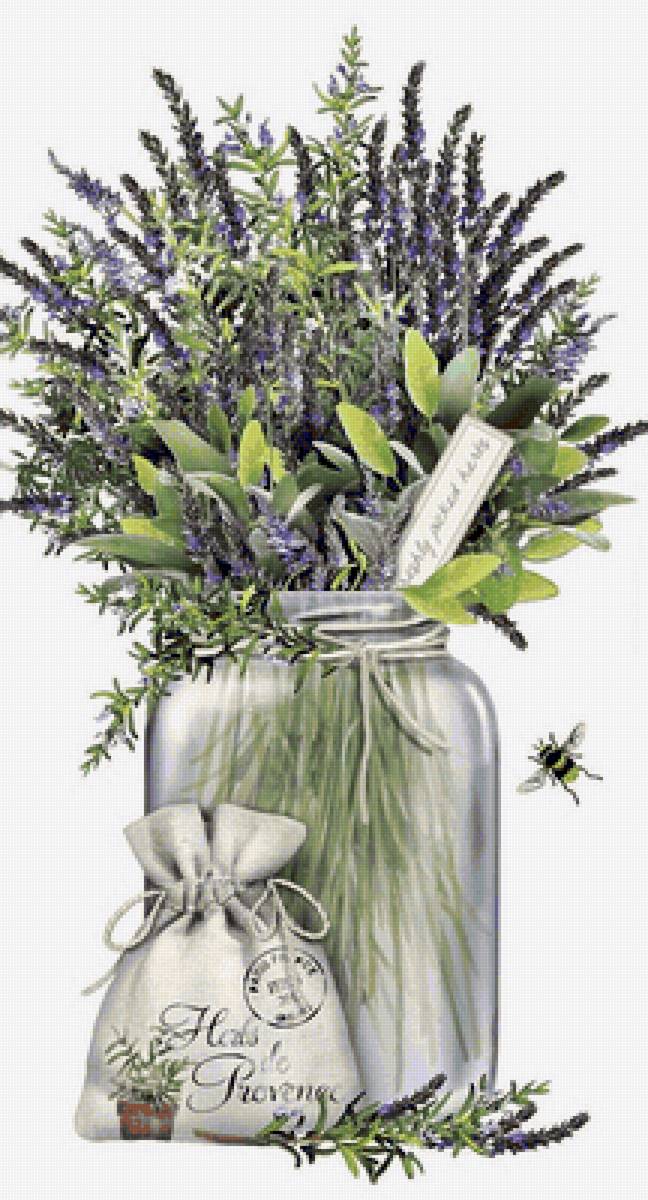 Лаванда - предпросмотр