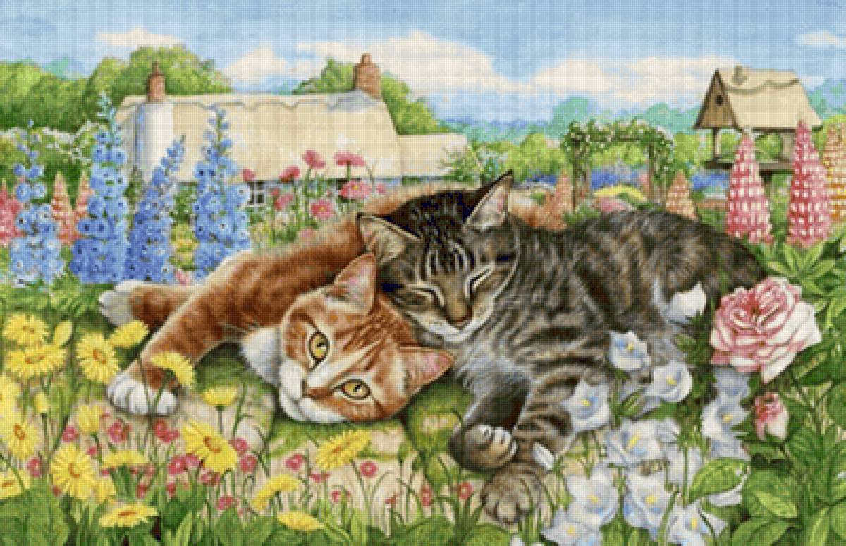 Gatos. - animais.flores.casa. - предпросмотр