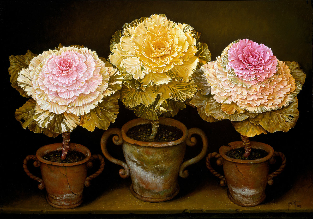 Цветы - цветы, цветок в горшке, цветок - оригинал