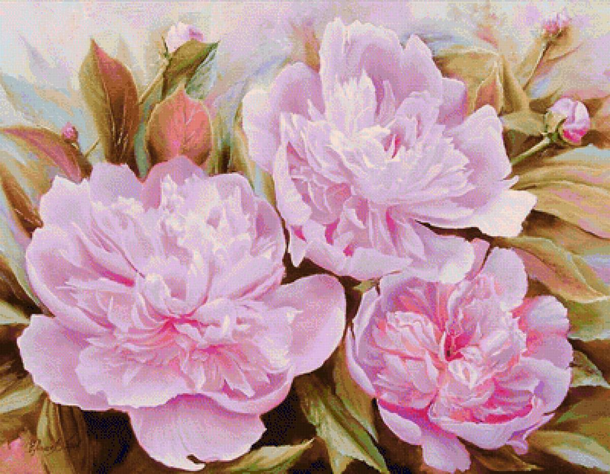 Trzy piwonie - предпросмотр