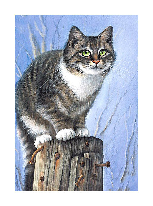 Кошка - зима, кошка - оригинал