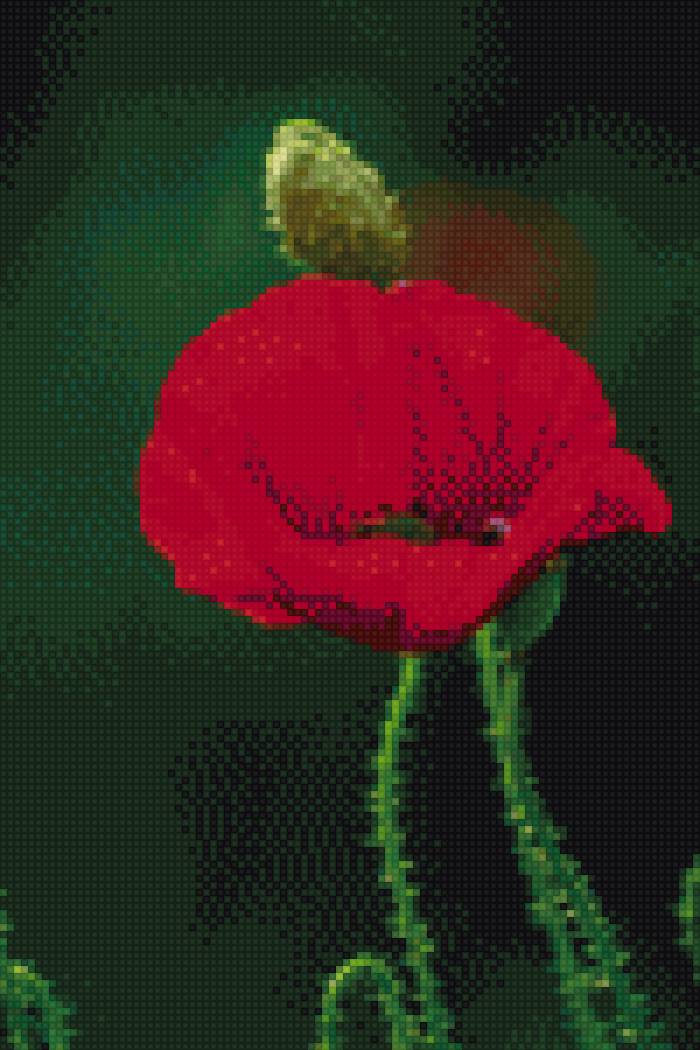 мак - предпросмотр