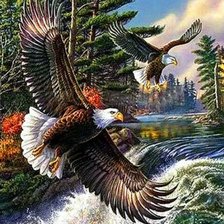 Схема вышивки «хищники»