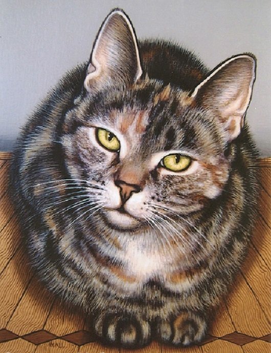 Gato. - animais. - оригинал