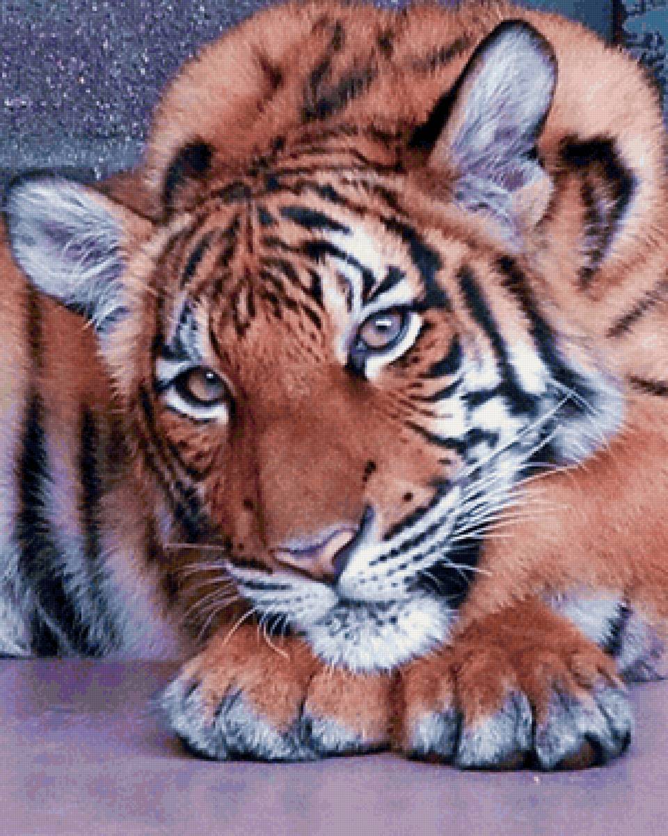 Tigre. - animais.pintura. - предпросмотр