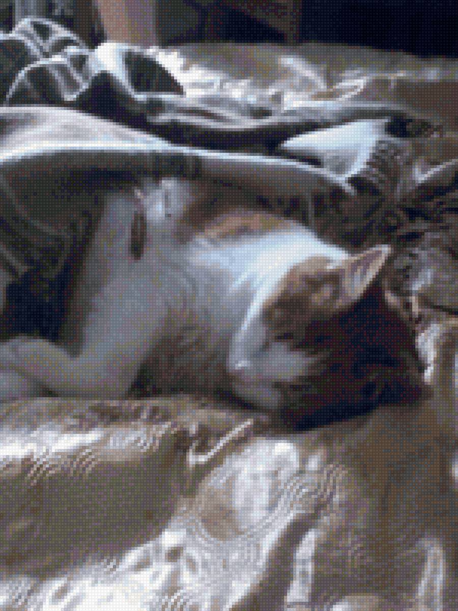 Спящий кот - кошки - предпросмотр