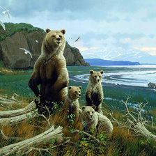 Схема вышивки «медведи»