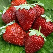 Схема вышивки «Клубника»