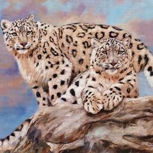 casal de leopardo.