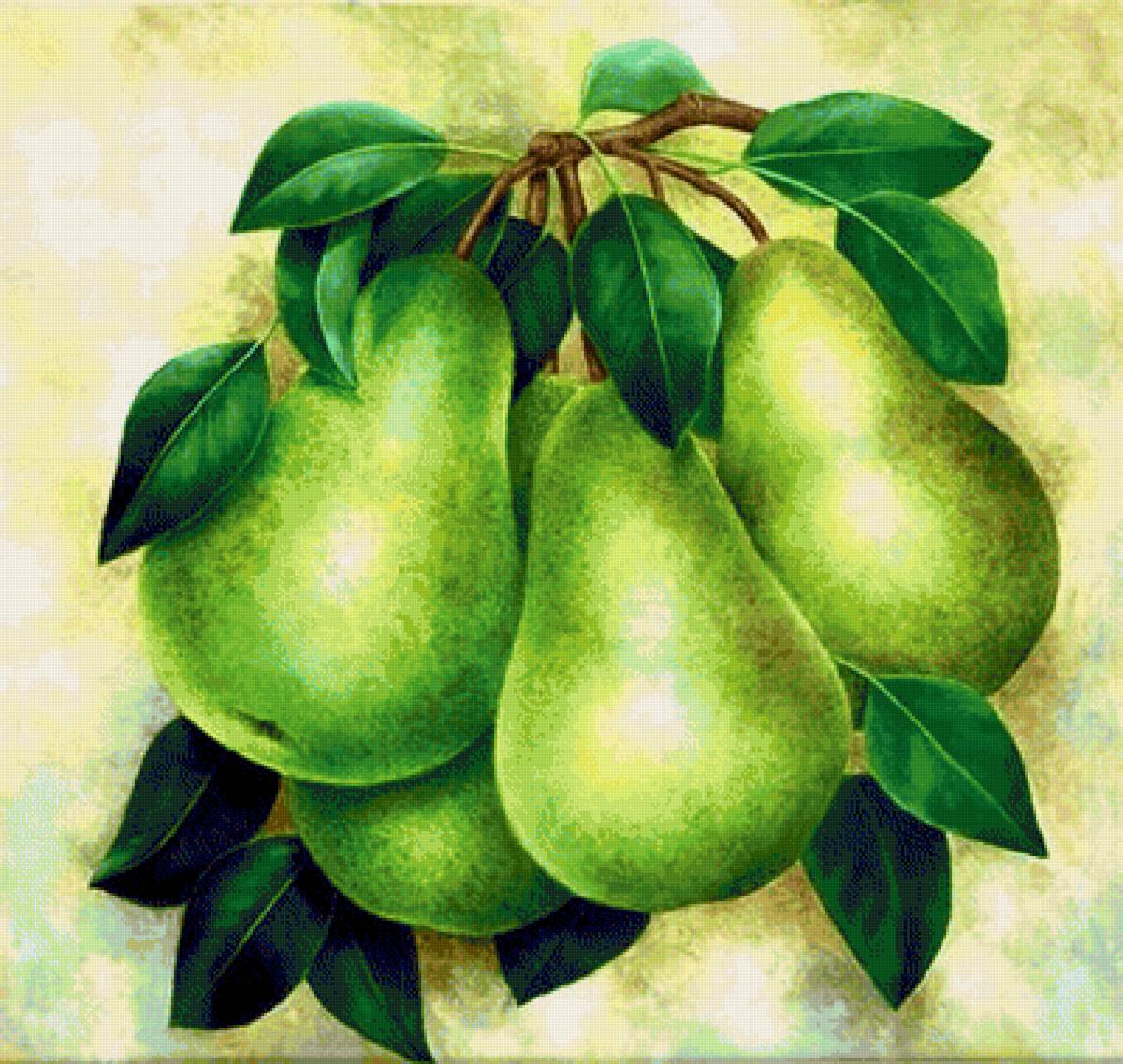 Груши - предпросмотр