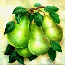 Схема вышивки «Груши»