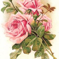 Схема вышивки «Роза»