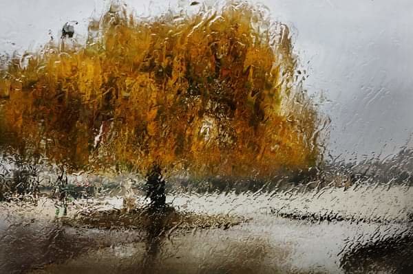 №2337801 - оригинал