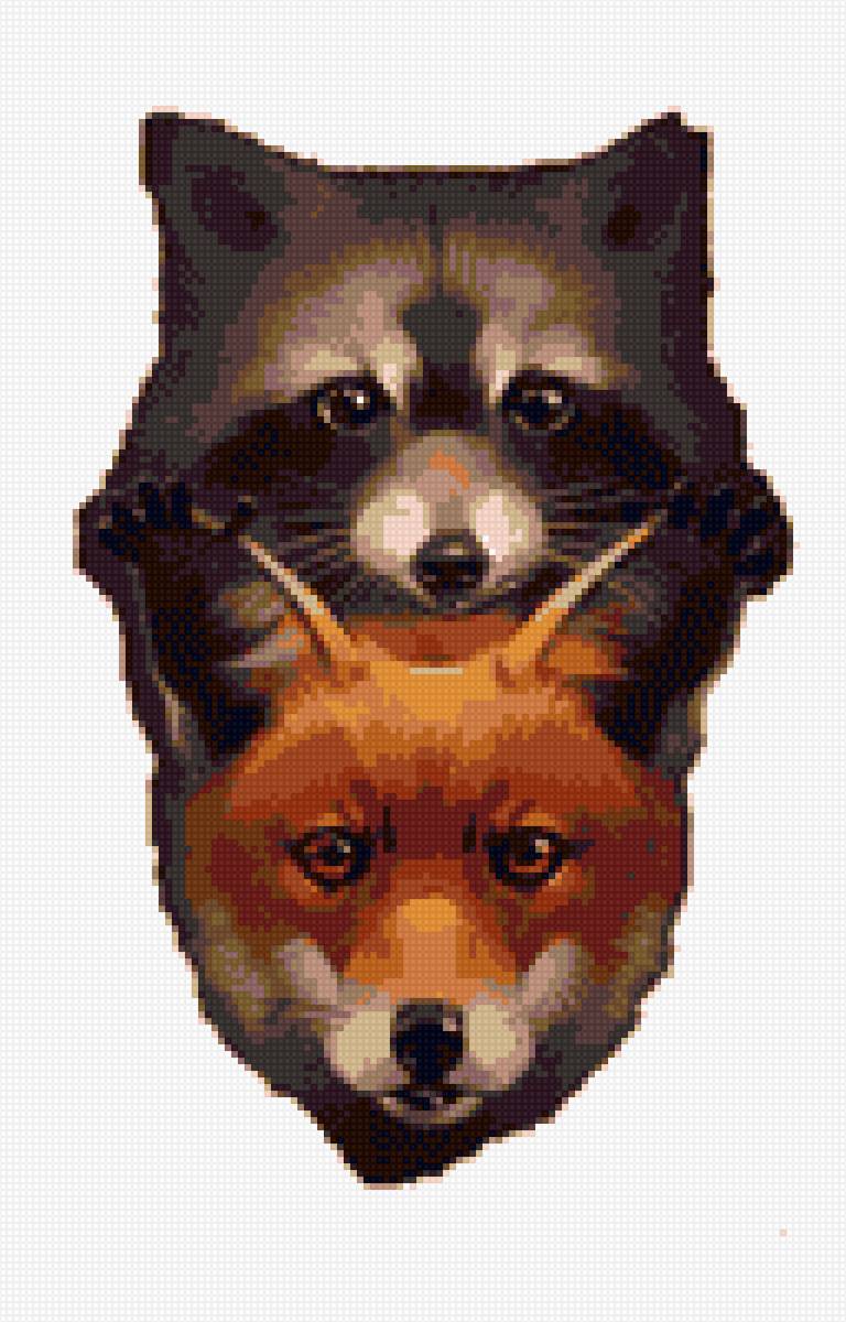 Енот и Лисичка - енот, лиса - предпросмотр