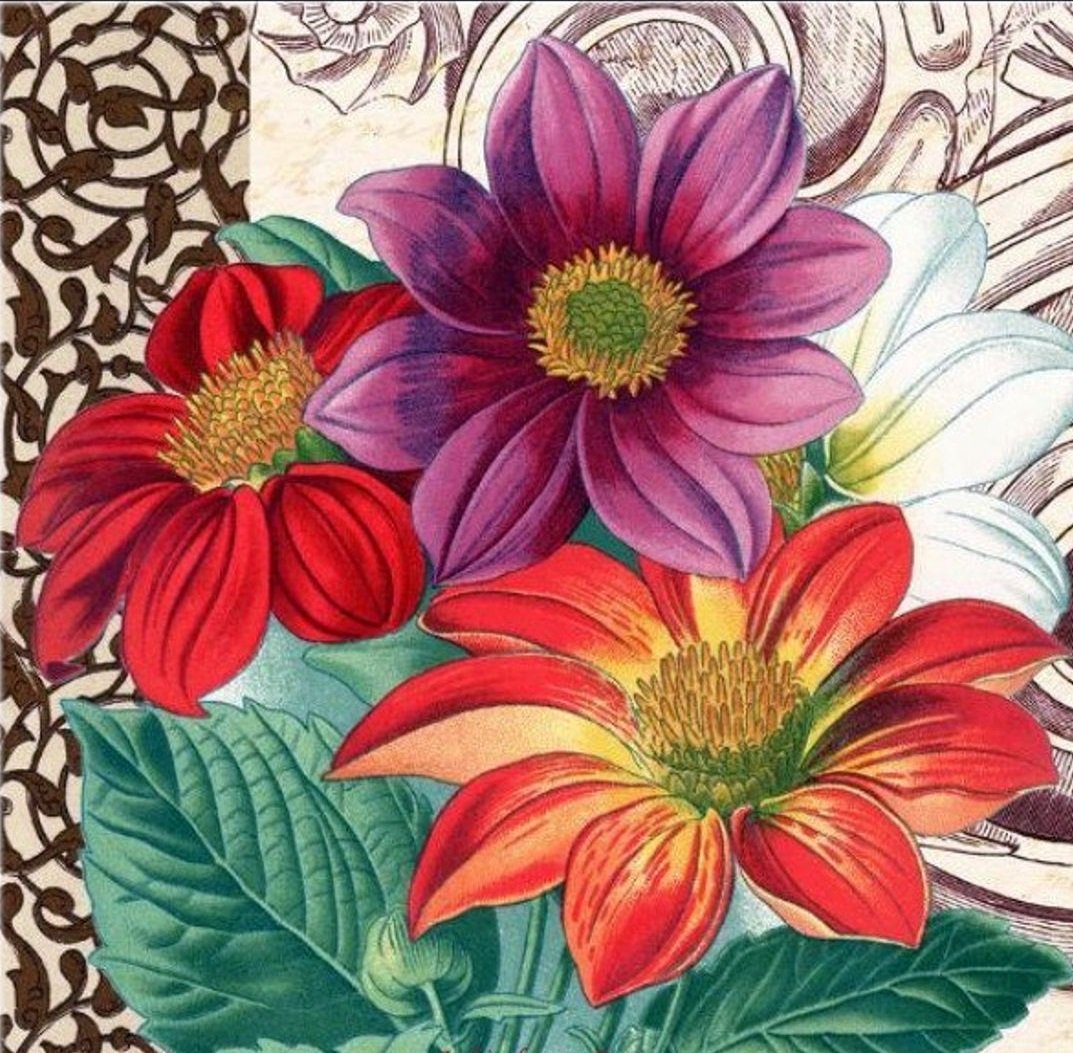 Boque de dálias. - flores.pintura . - оригинал