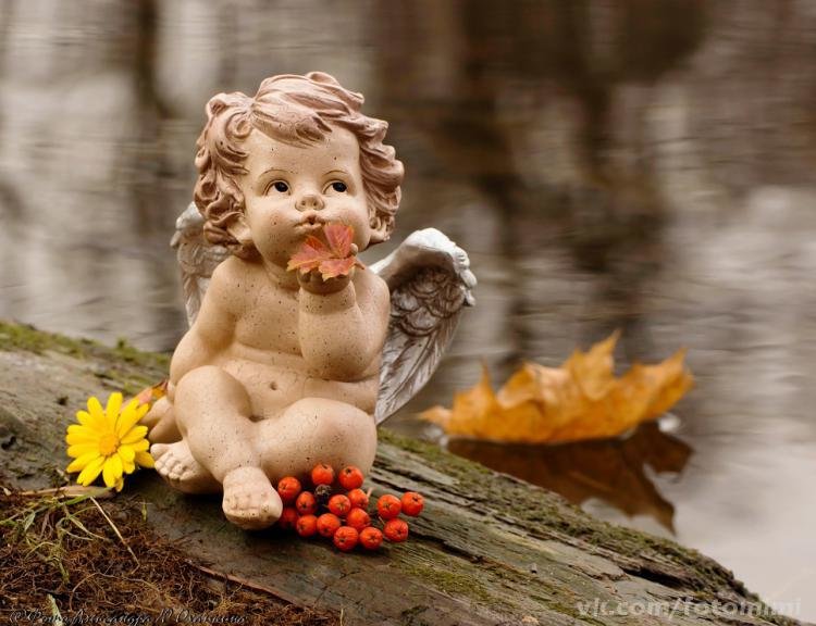 Ангел в осени - листья, ангел, статуэтка, осень, рябина - оригинал