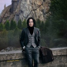 Схема вышивки «Снейп»