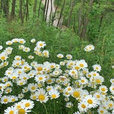 Схема вышивки «Paisagem.»