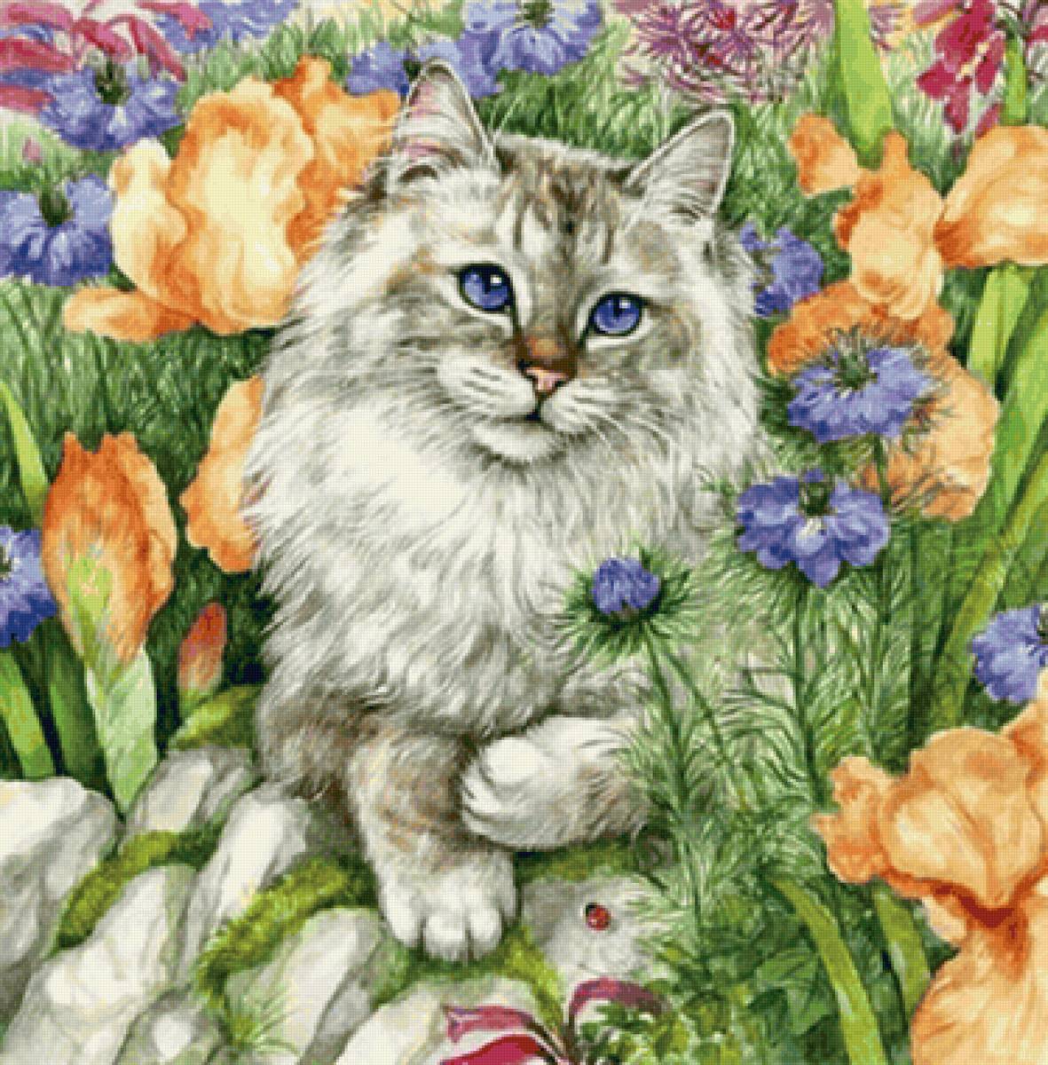 Gato. - animais.flores. - предпросмотр