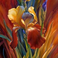 Схема вышивки «Ирисы»