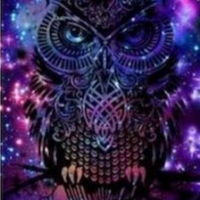 Схема вышивки «Сова»