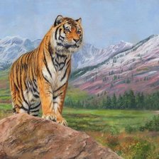 Схема вышивки «Тигр»