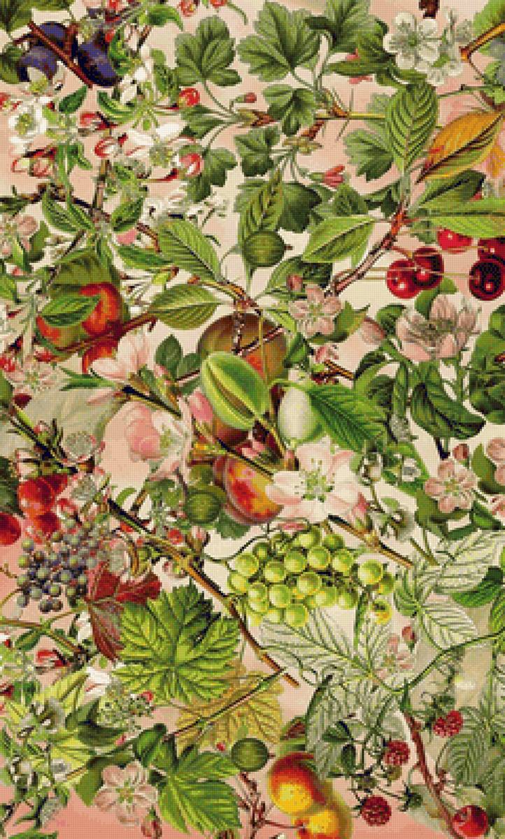 БАРБАРА БЕР.  ФРУКТЫ - гобелен, штора - предпросмотр