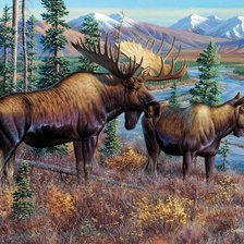 Схема вышивки «лоси»